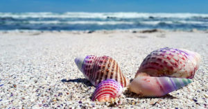 Oferte vacanțe la mare